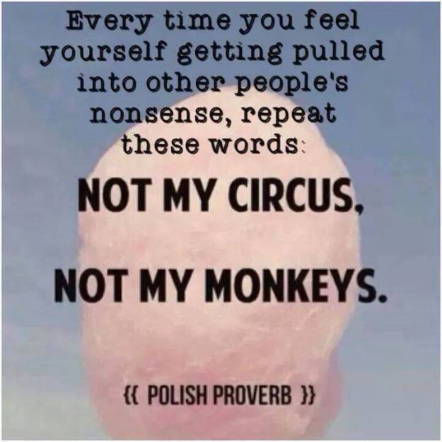 not-my-circus-not-my-monkeys